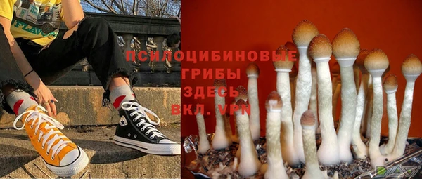 винт Заволжск