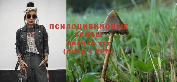 крисы Заволжье